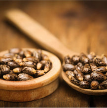 Load image into Gallery viewer, 100% Pure Carapate Oil